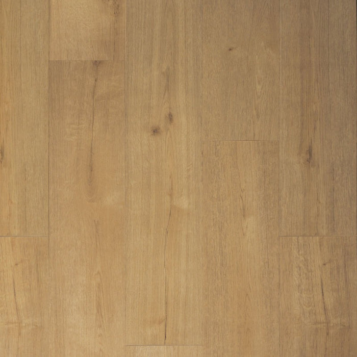 Houtlook Plank Kletskop | Douwes Dekker | Klik PVC Rigid