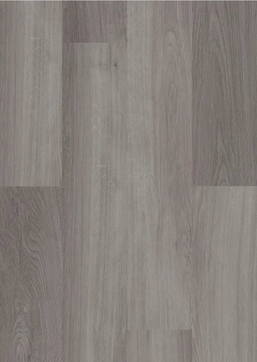 mFLOR 41828 Broad Leaf Grey Sycamore | Dryback Plak PVC