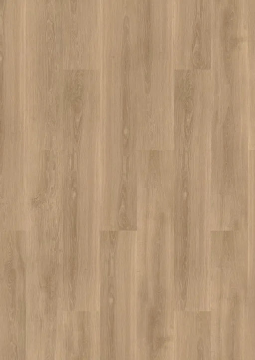 mFLOR River Oak XL 73029 Tarn | Extra Large plank | Dryback Lijm PVC