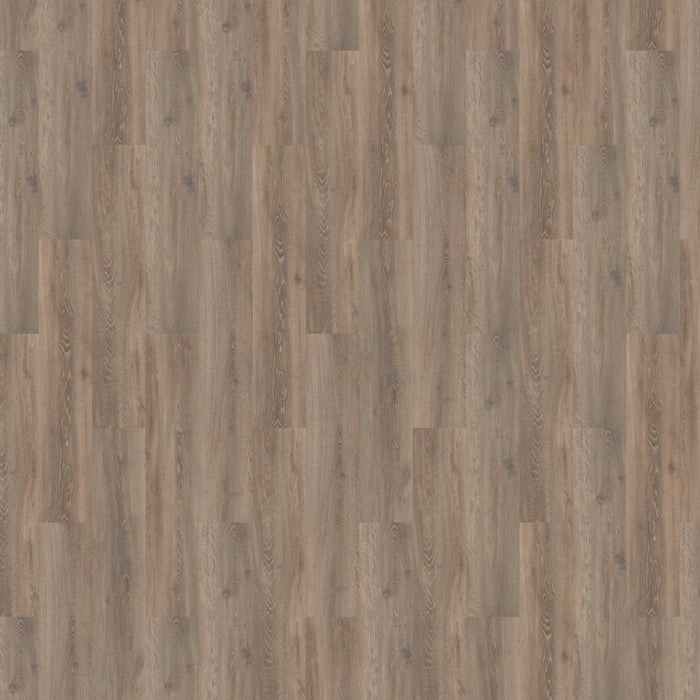 Solcora 55913 Silence Oak Calabria | Rigid Core Click PVC