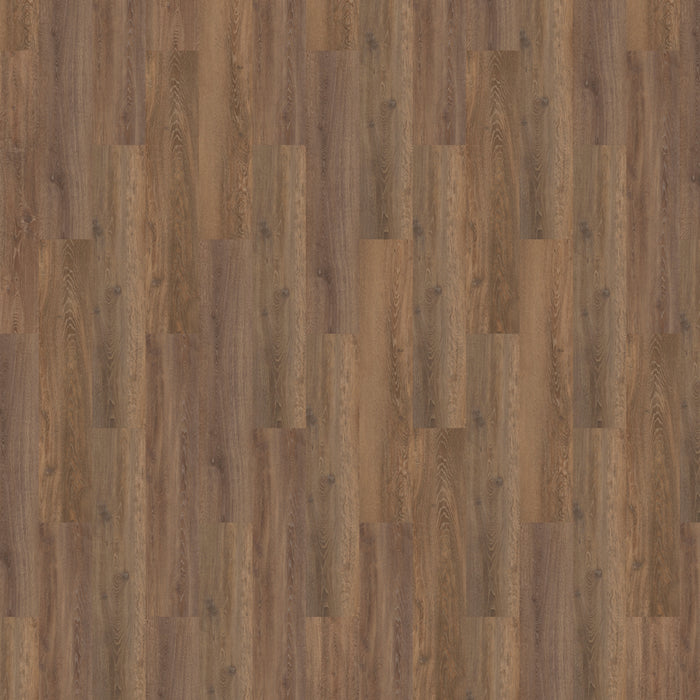 Solcora 55916 Silence Oak Liguria | Rigid Core Click PVC