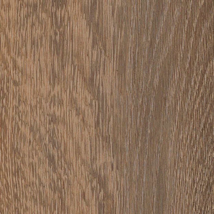 Solcora 55916 Silence Oak Liguria | Rigid Core Click PVC