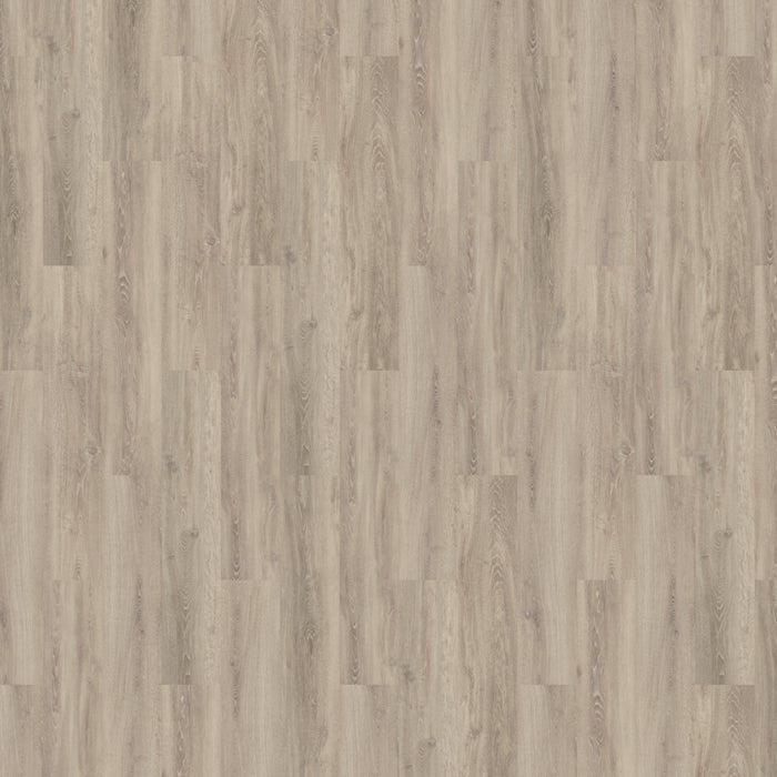 Solcora 55919 Silence Oak Sardinia | Rigid Core Click PVC